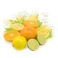Citrus Ester