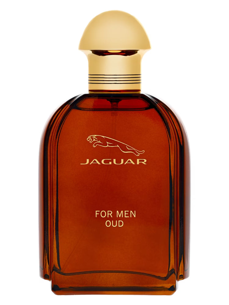 Jaguar Oud 100ml EDP for Men