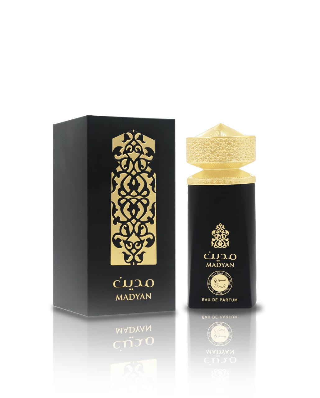 Madyan Oudi 100ML EDP