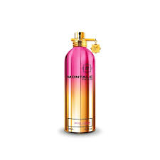 Montale Paris Aoud Legend 100ml EDP Unisex