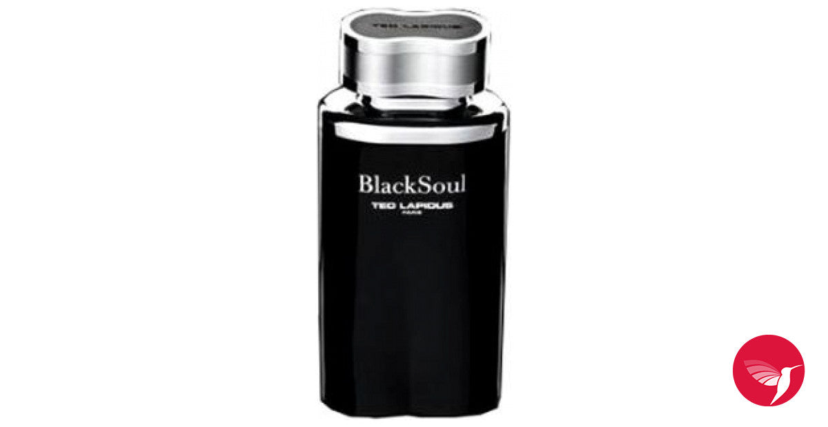 Ted Lapidus Black Soul 100ml EDT for Men