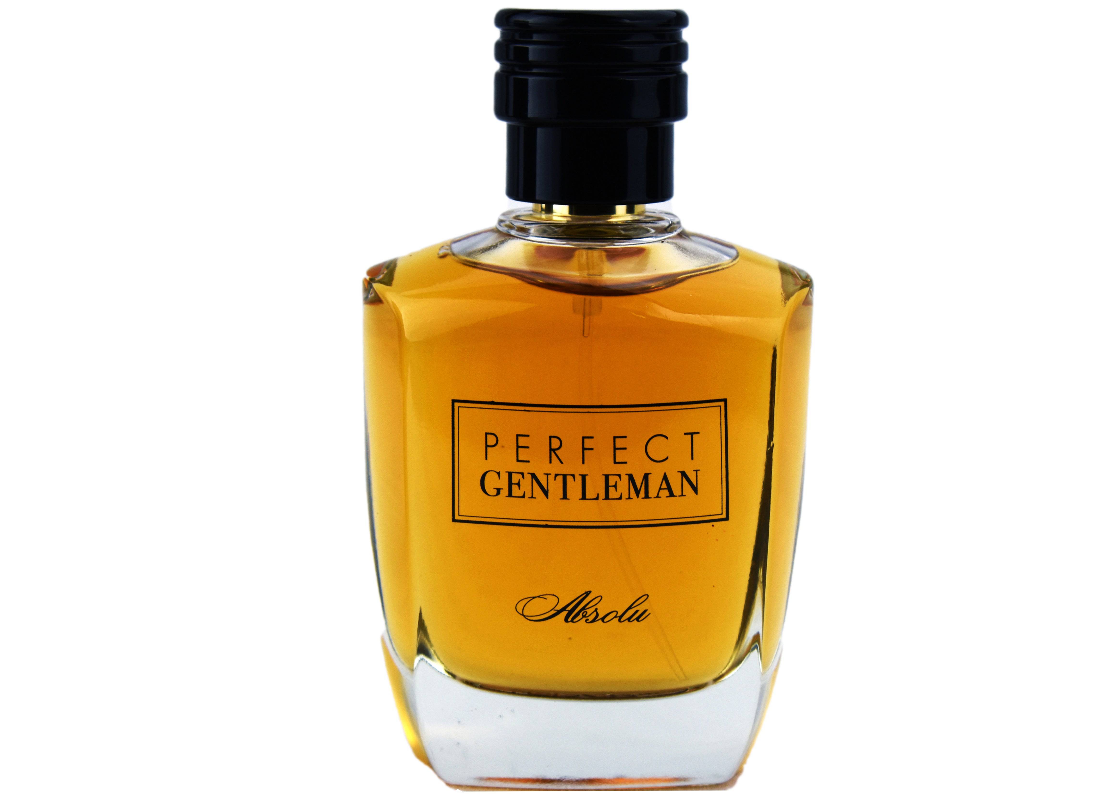 Art & Parfum Perfect Gentleman Absolu 100ml EDP for Men