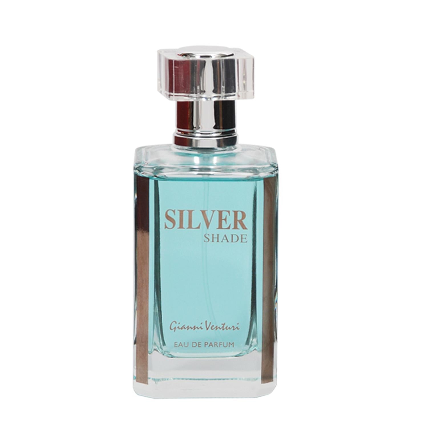 Gianni Venturi Silver Shade 100ml EDP for Men